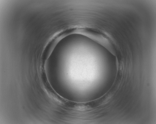 X0000082200540200701270121