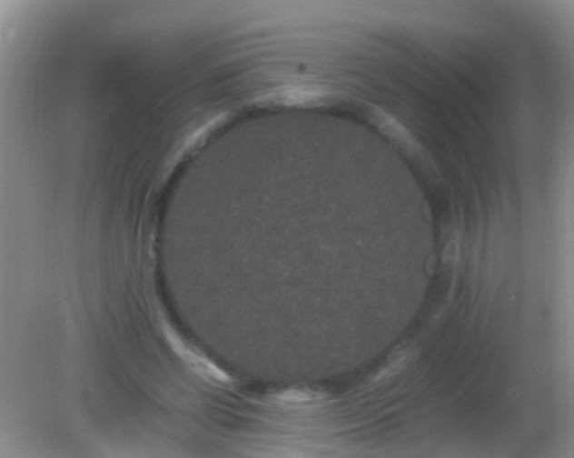 X0000082200542200701270121