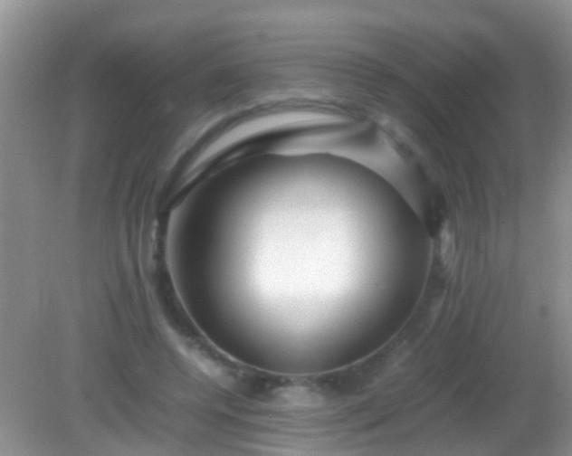 X0000082200544200701270121