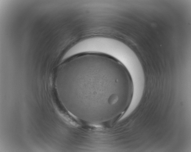 X0000082200546200701270121