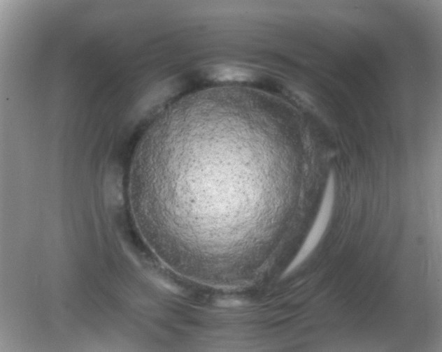 X0000082200547200701270121