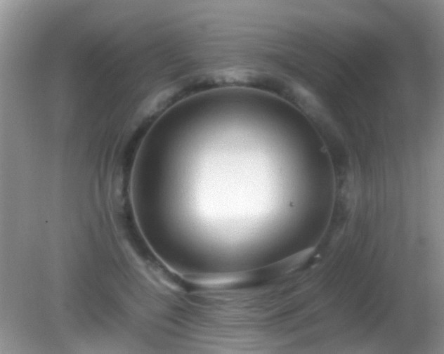 X0000082200548200701270121