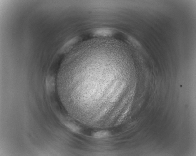 X0000082200551200701270121