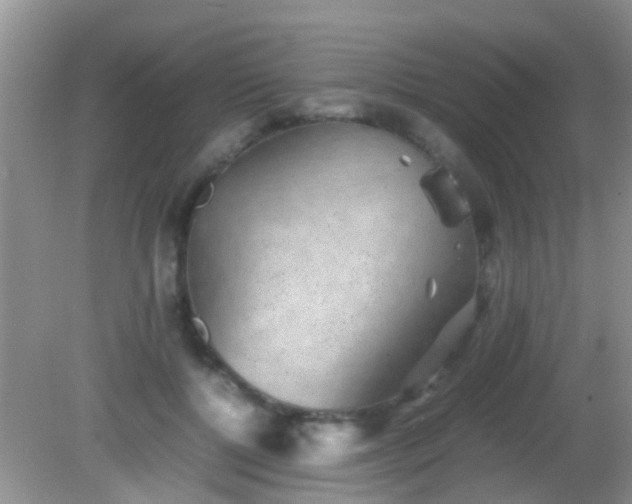 X0000082200552200701270121