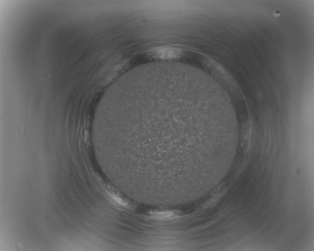 X0000082200553200701270121