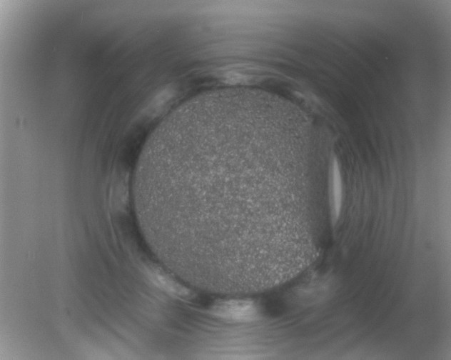 X0000082200554200701270121