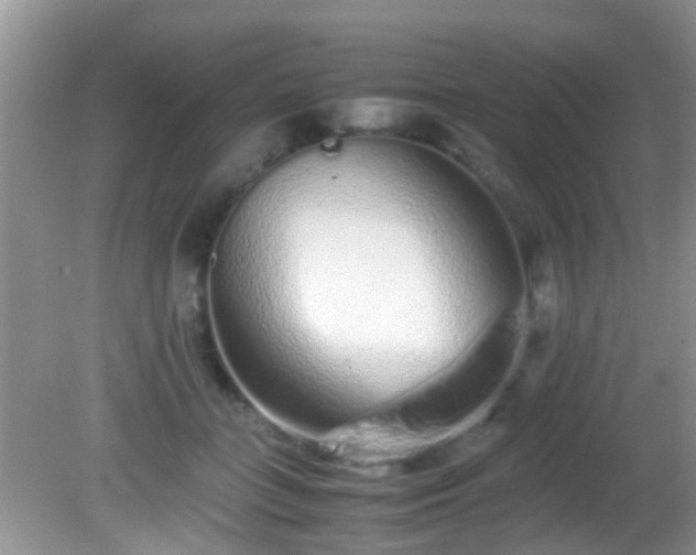 X0000082200555200701270121