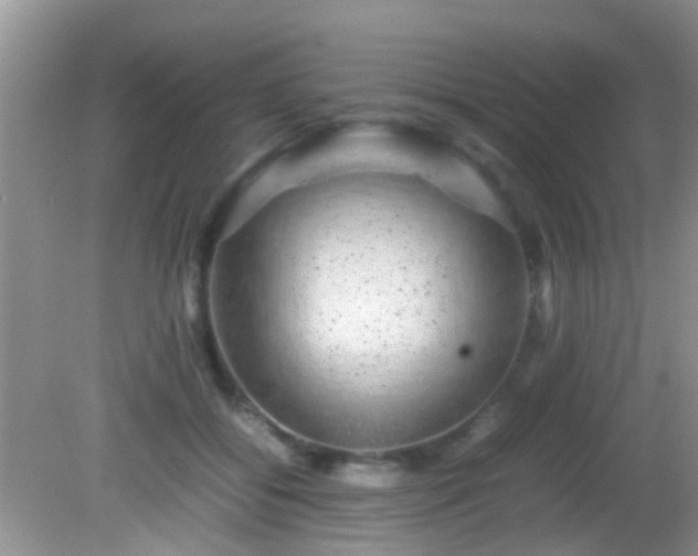 X0000082200556200701270121