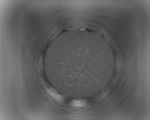 X0000082200557200701270121