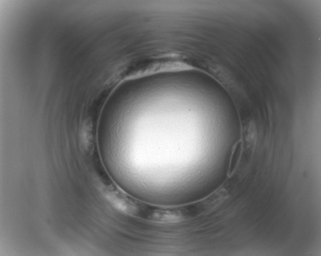 X0000082200559200701270121