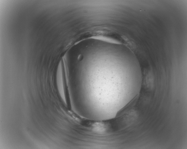 X0000082200562200701270121