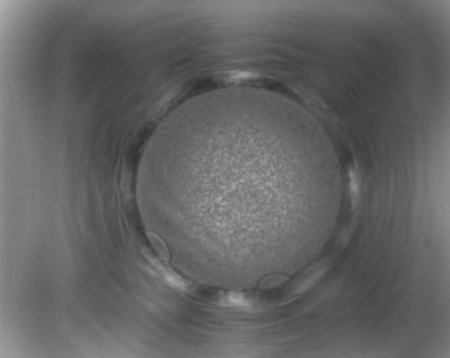 X0000082200565200701270121