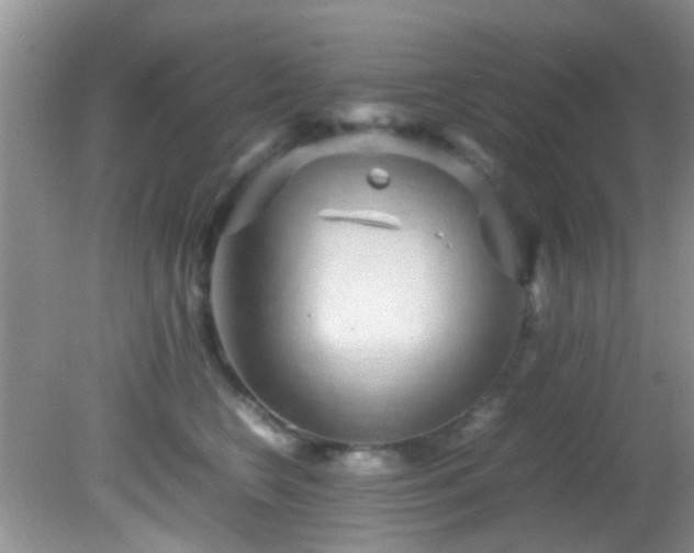 X0000082200566200701270121