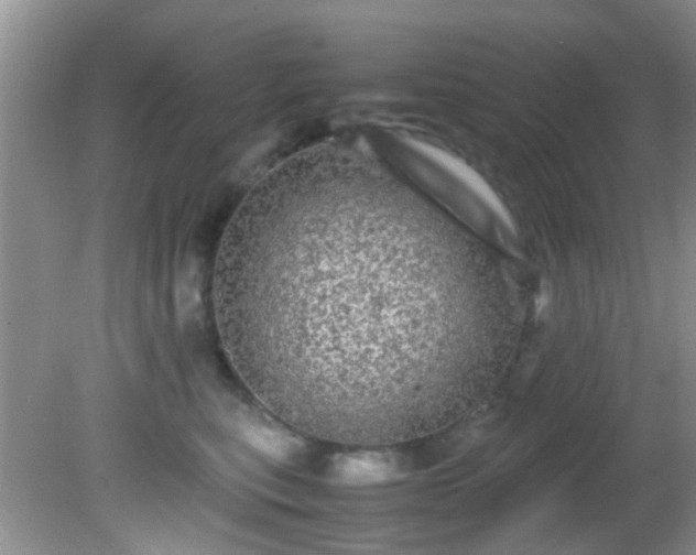 X0000082200567200701270121