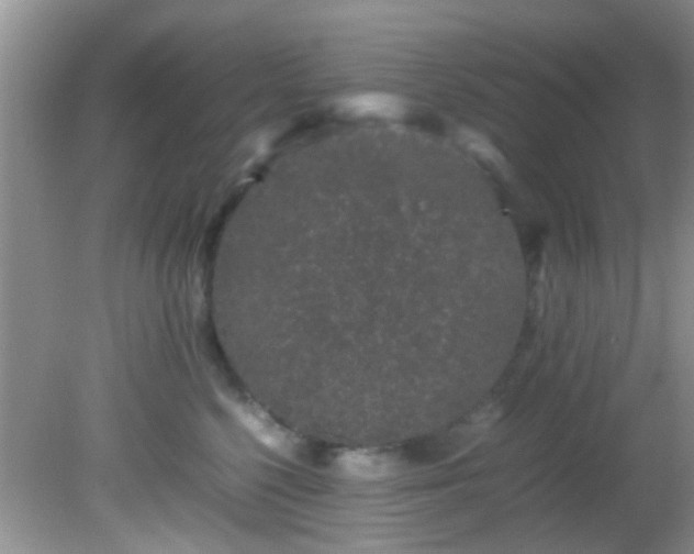 X0000082200568200701270121