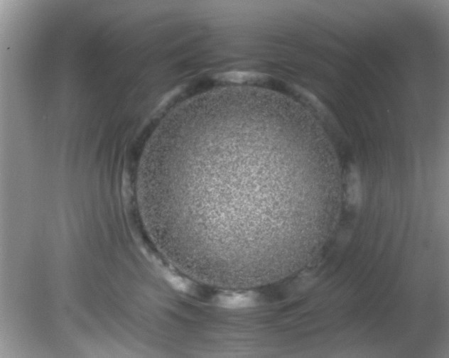 X0000082200569200701270121