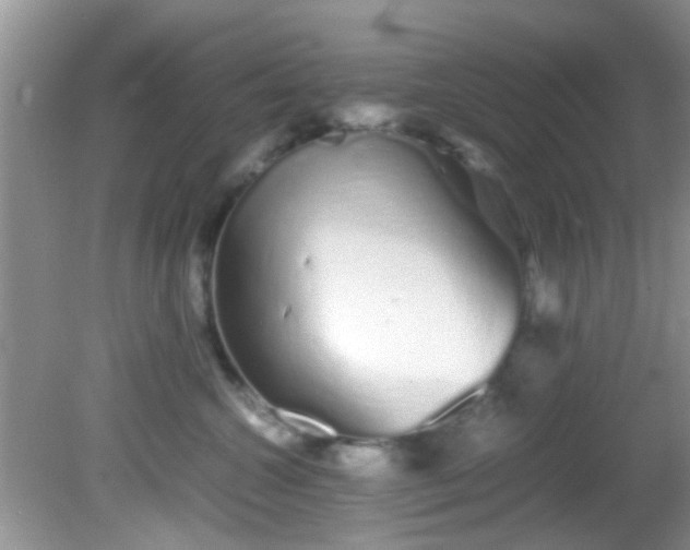 X0000082200572200701270121