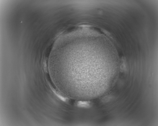 X0000082200573200701270121