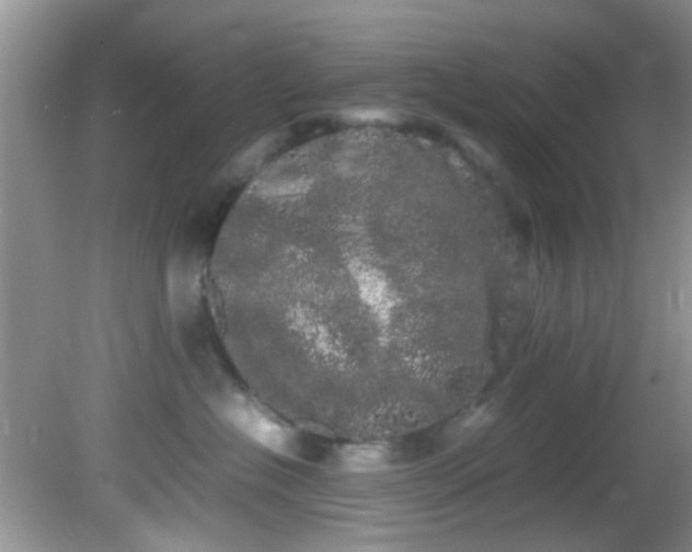 X0000082200574200701270121