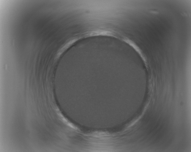 X0000082200577200701270120