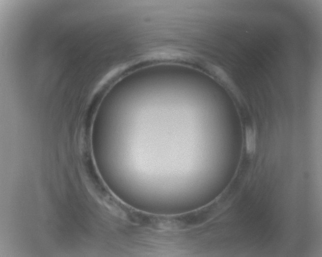 X0000082200579200701270120