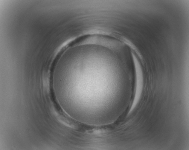 X0000082200580200701270120