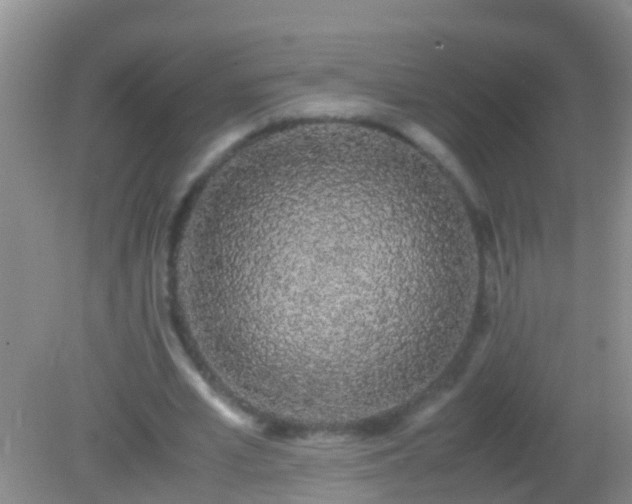 X0000082200581200701270120