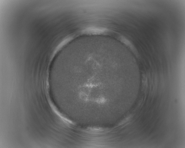 X0000082200582200701270120