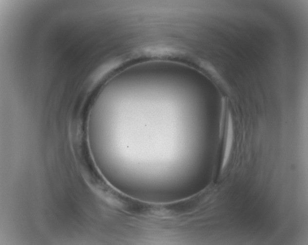 X0000082200583200701270120