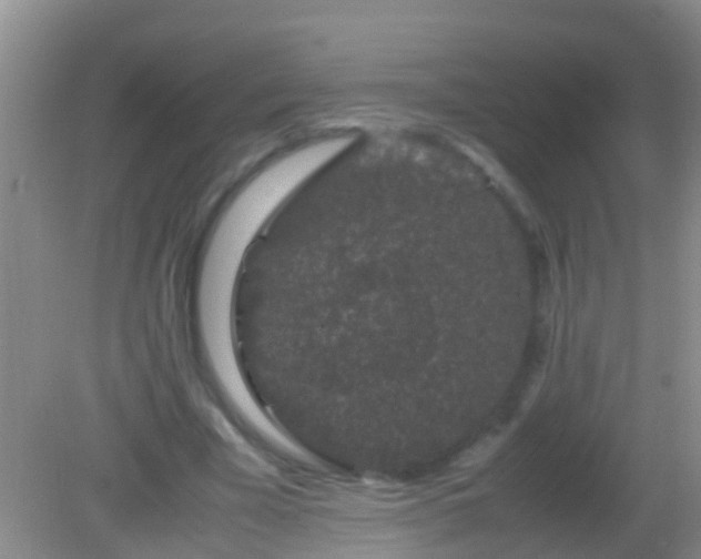 X0000082200585200701270120