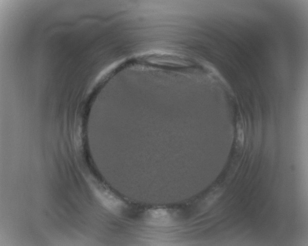 X0000082200588200701270120