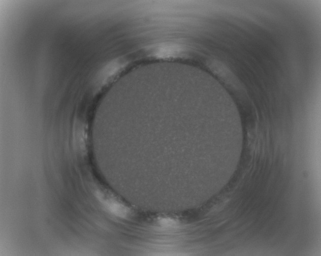 X0000082200592200701270120