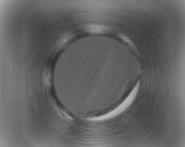 X0000082200596200701270120