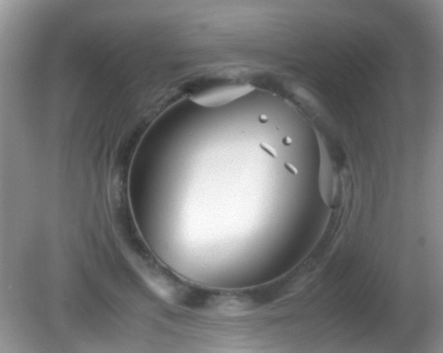 X0000082200597200701270120