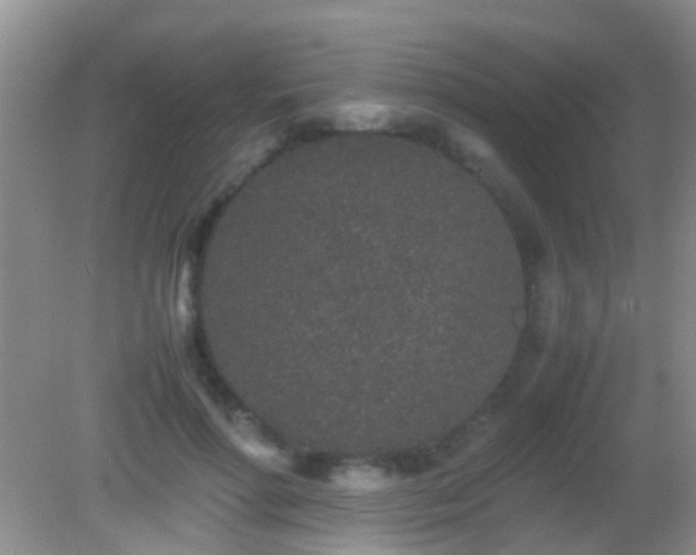 X0000082200598200701270120