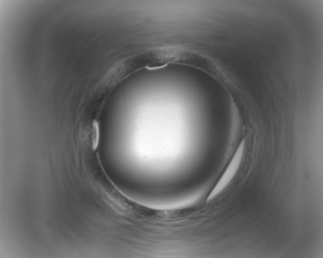 X0000082200601200701270120