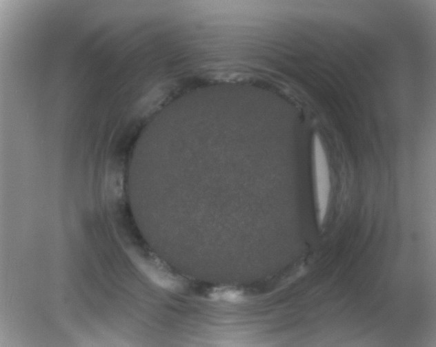 X0000082200602200701270120