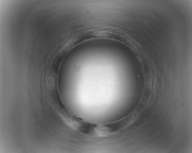 X0000082200603200701270120