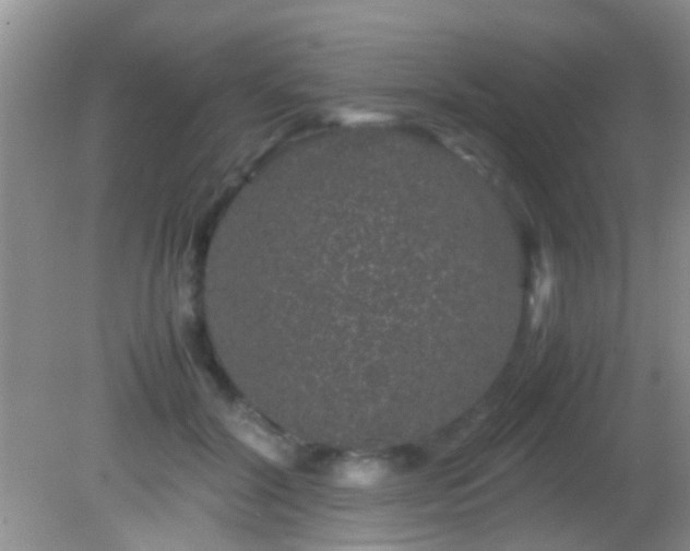 X0000082200604200701270120