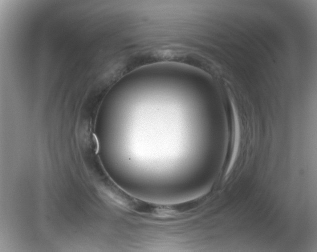 X0000082200605200701270120