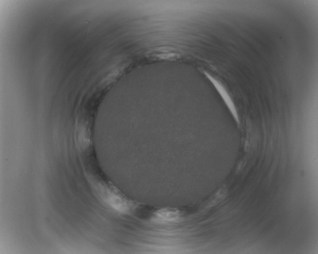 X0000082200606200701270120