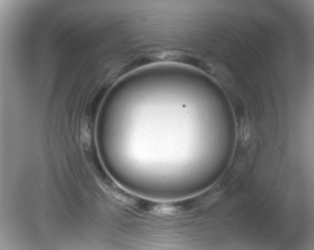 X0000082200607200701270120