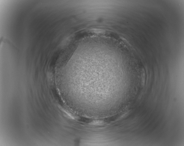 X0000082200609200701270120