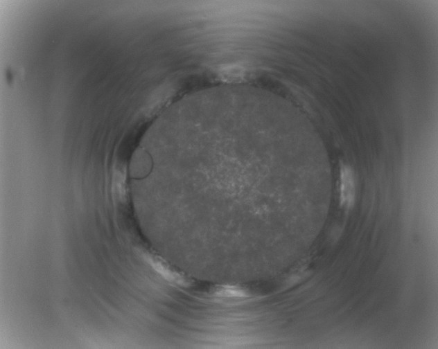 X0000082200610200701270120