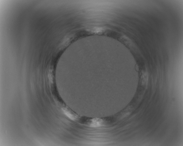 X0000082200612200701270120