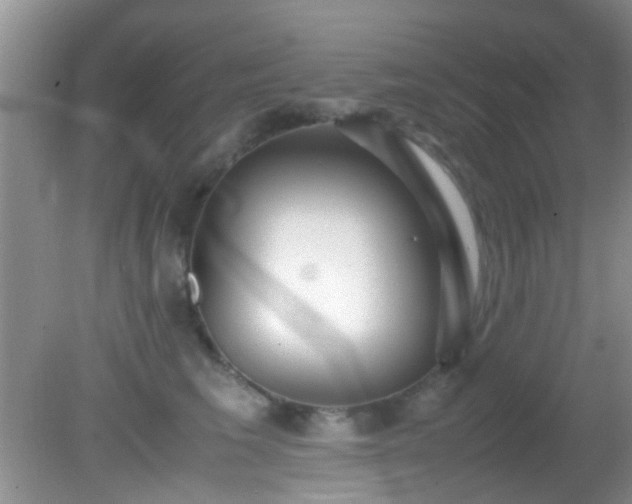 X0000082200613200701270120