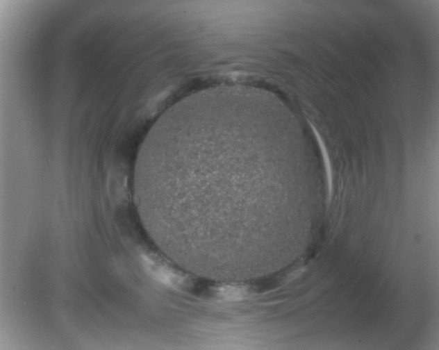 X0000082200615200701270120