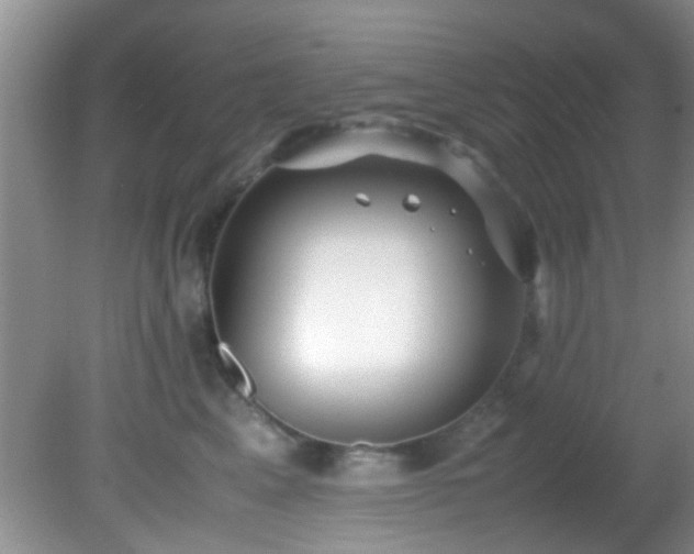 X0000082200617200701270120