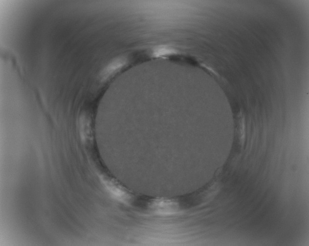 X0000082200619200701270120