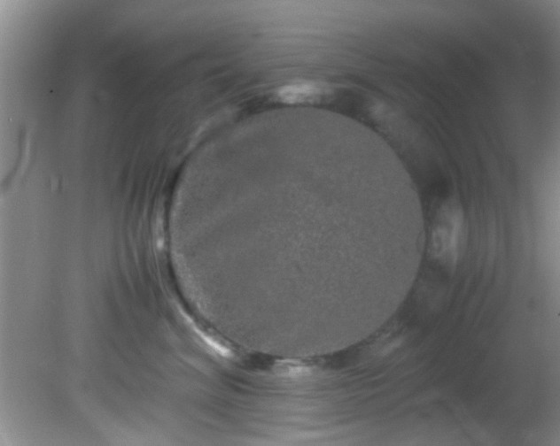 X0000082200620200701270120